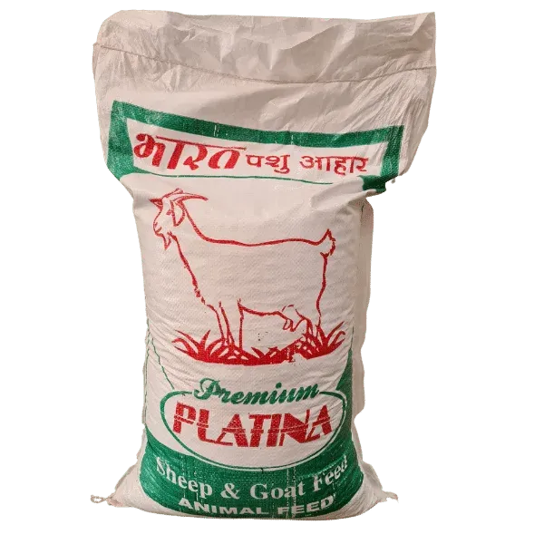 Platina Goat Sheep