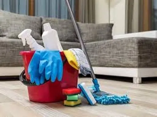 1 BHK Home Cleaning Service