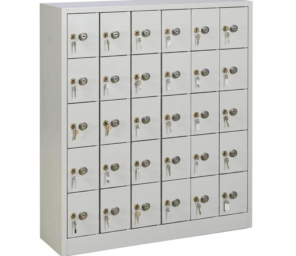 Mobile Locker Unit