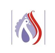 SATRA FASHION JEWELLERY & ACCESSORIES PRIVATE LIMITED